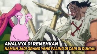 INI DIA ORANG YANG PALING BERBAHAYA DI DUNIA ONE PIECE!! ONE PIECE TERBARU