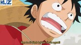 Trận đánh tại đảo người cá, nhóm Luffy bảo vệ Shirahoshi