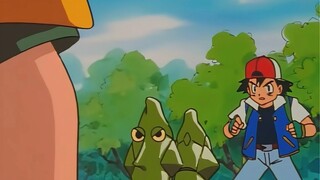 The most unsolvable battle in Pokémon history, Metapod vs Metapod!