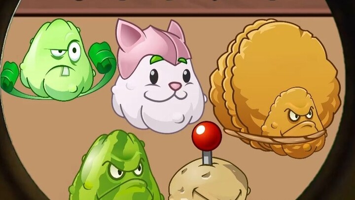 Plant animation: squash hybrid collection