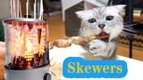 Máy nướng BBQ tự động cho em mèo của tui!