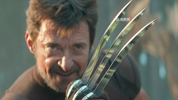 Across countless timelines, Deadpool is only searching for Wolverine.