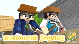 Menanam jagung di kebun kita || animasi minecraft