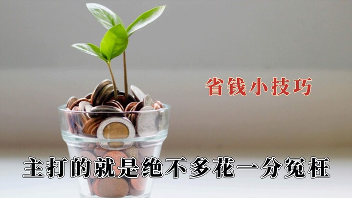 One money-saving tip every day: the ultimate survival guide for saving money as a working profession