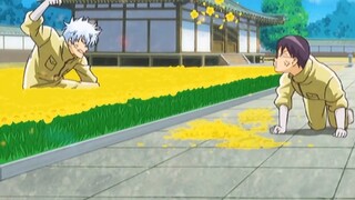 "Gintama Kindergarten! Come on!!"