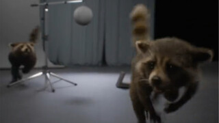 Mẫu thử nghiệm Rocket Raccoon trong "Guardians of the Galaxy Vol. 3", Rocket trưởng thành chạy song 