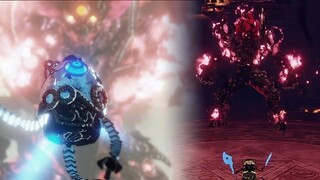 Terrako VS Calamity Ganon - Hyrule Warriors: Age of Calamity