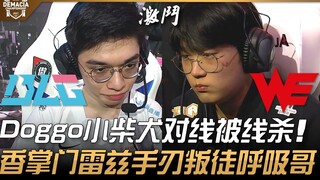 BLG vs WE Doggo anjing Shiba Inu dijalur dibunuh di jalur! Xiang Zhangmen Rui menghukum pengkhianat 