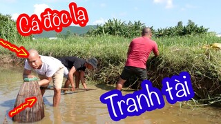Tranh Tài Cá Ẩm Thực Độc Lạ |  Son Duoc Vlogs