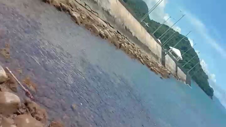 hajgdsk