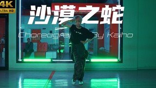 [CUBE Dance Studio] ท่าเต้น "Desert Snake" ของ Yan Pan