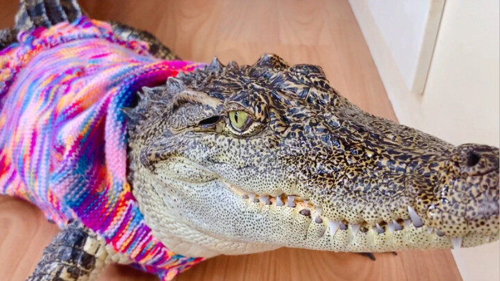 เสื้อกันหนาวที่แม่ถักให้ ต้องเก็บรักษาไว้อย่างดีนะ