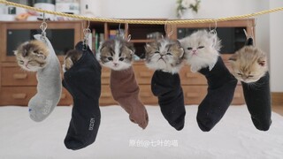 被挂起来还不老实！
