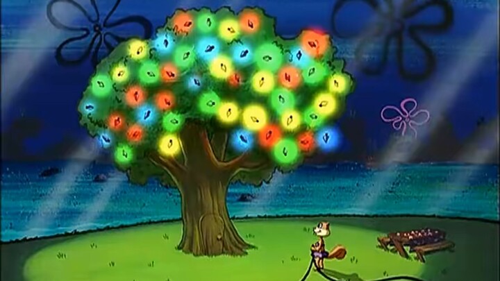 I plant trees in life’s pitfalls