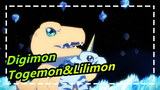 [Digimon] Evolusi Super Togemon| Lilimon_A