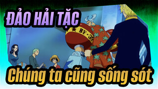 [ĐẢO HẢI TẶC] Sanji, Chúng ta cũng sống sót một cách lơ đễnh đó!