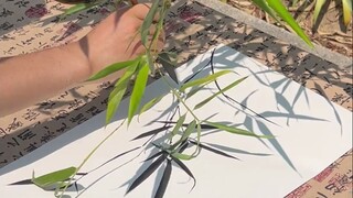 竹影照影在纸上，那是大自然的痕迹