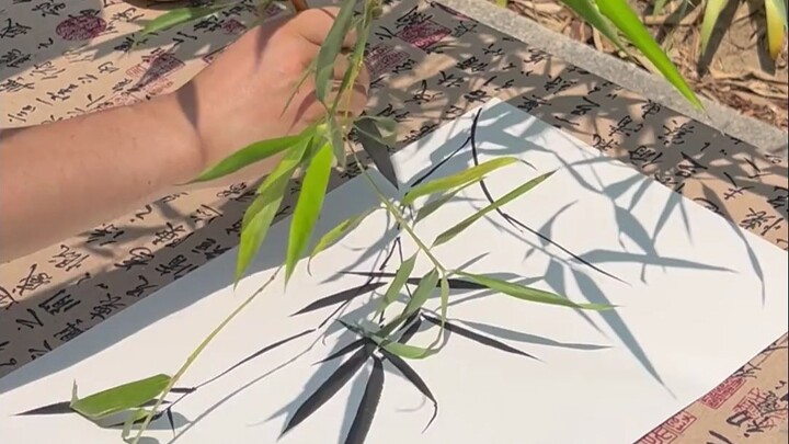Bóng trúc in bóng lên giấy, đó là dấu vết của thiên nhiên