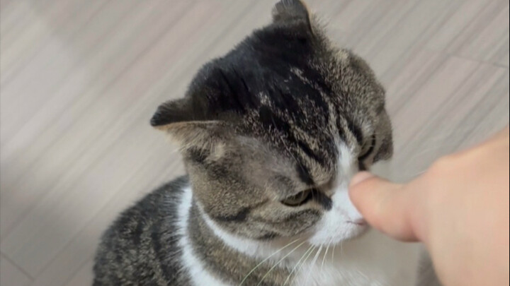 On the topic of face-changing