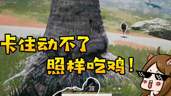 Battle Royale Paralympics? Stuck and unable to move, yet still wins! Lulu’s hilarious PUBG highlight