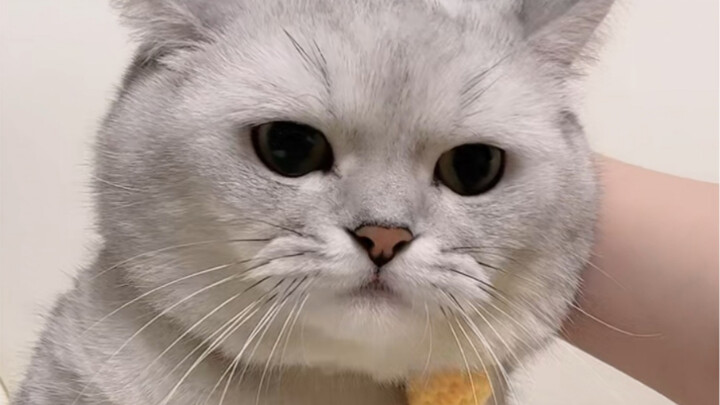 Nội dung không phải bài đăng. Nửa đêm nửa hôm cho các bạn xem chút gì đó kích thích… [cười khóc] Tai