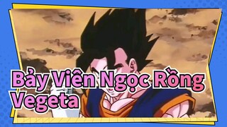 [Bảy Viên Ngọc Rồng]Vegeta --- Người đàn ông mạnh mẽ nhất