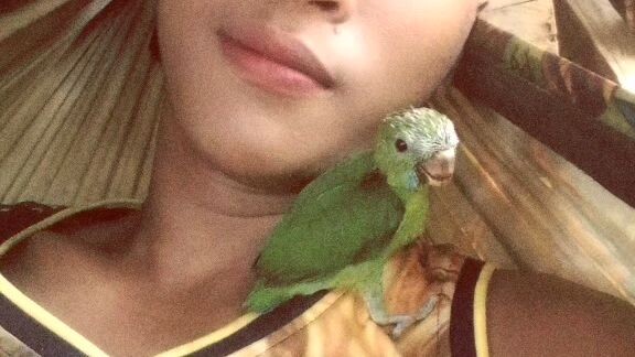Short video with cutie bird