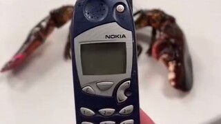 Cặp càng của tôm hùm càng cua vs Nokia, cột băng, kẹo mút, trai...