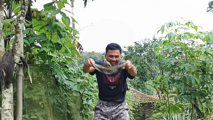 jurus kecepatan tangan