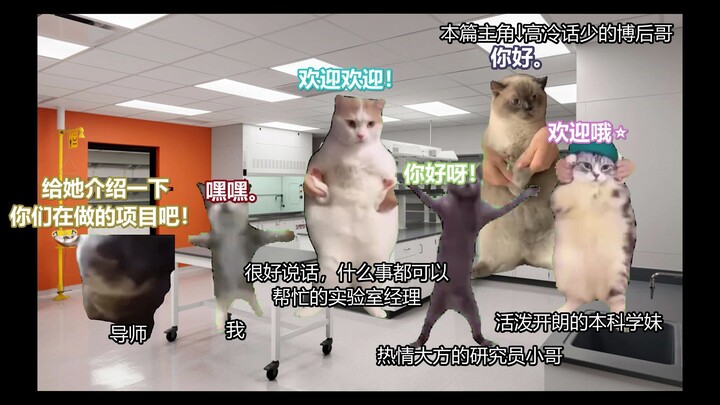 【Meme mèo】Câu chuyện đồng nghiệp hậu tiến sĩ lạnh lùng bỗng dưng nổi hứng thiếu nữ, ngay lập tức bị 