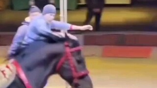 这是我见过最牛逼的骑马人，不仅站立式骑马，还可以在马背上跳绳，这真的是天花板，让无数人望而止步，高高高