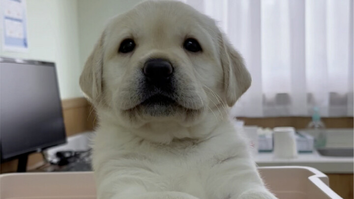 What’s it like growing up under a doctor’s watchful eye?