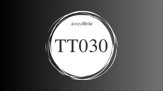 TT030