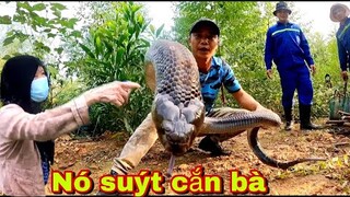 Bà Lão 80 Tuổi Suýt M.ất M.ạng Trên Rừng Sâu Vì Gặp Phải Rắn Hổ Mang Cụ Chúa | Đại Vùng Cao