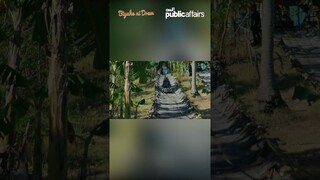 Biyahero Drew, sinubukan ang palwa slide sa Negros Oriental #shorts | Biyahe ni Drew
