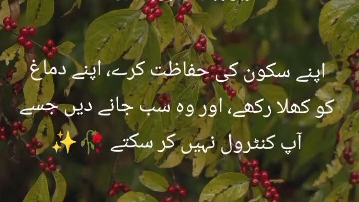 self peace is very important for happy life 💓
