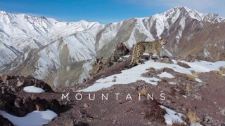 Planet Earth II S01 E02 - Mountains