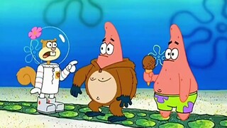 Yuk kenalan dengan Patrick Star, sang pejuang banteng