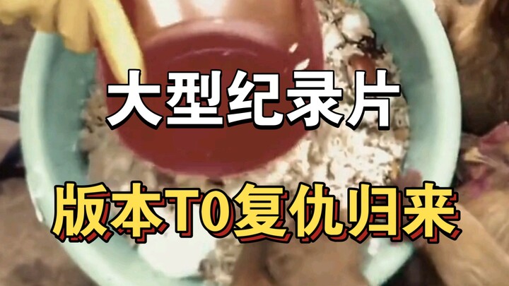 大型纪录片《版本T0复仇归来》！！！持续为您播出！！！