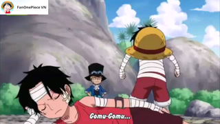 69. Luffy bị Sabo và Ace troll suýt thì toi [AMV] #anime #onepiece #daohaitac