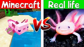 Realistic minecraft | Realistic water | lava | Slime block