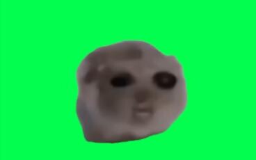 悲伤鼠鼠，但是爱唱歌