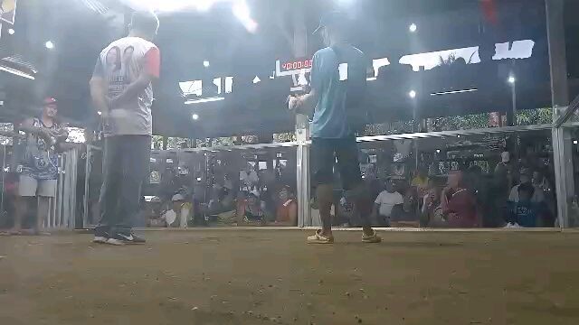 2 cocks panta derby 10k bigay agad( Marabut Galleria) 1st fight win