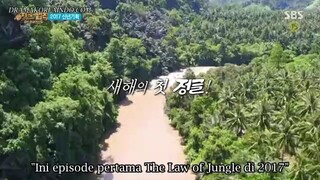 law of the jungle(kota manado)  ep 247 sub indo