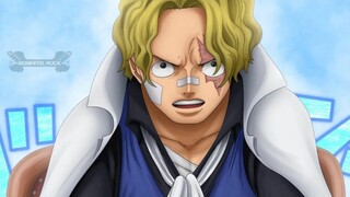 Sabo Kaget Jika Menemukan Keluarga D Lainya - ONE PIECE