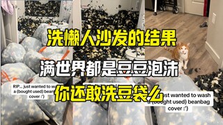 她居然洗了懒人沙发！真勤快人才能洗的沙发