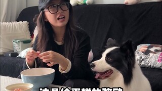 The "Younger Sibling" Position in Dog Owners' Families