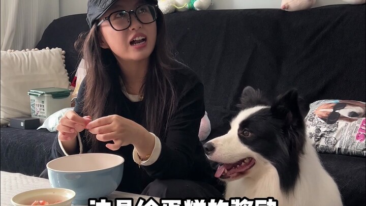 الوضع الأصغر في عائلة مربي الكلاب