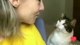 A cute talking cat