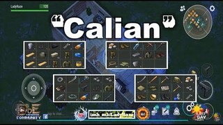"Calian" using small box to block  - Last Day On Earth: Survival